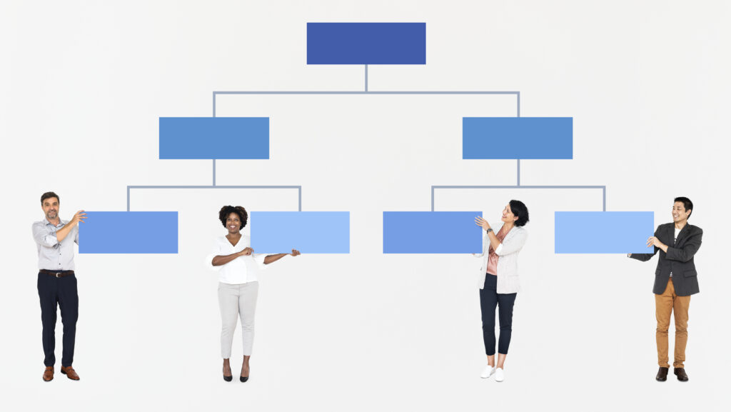 Organizational Design